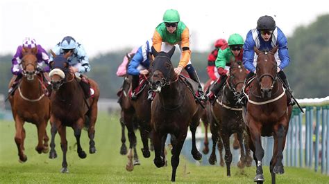 haydock betting|Haydock Tips, Racecards And Results Today .